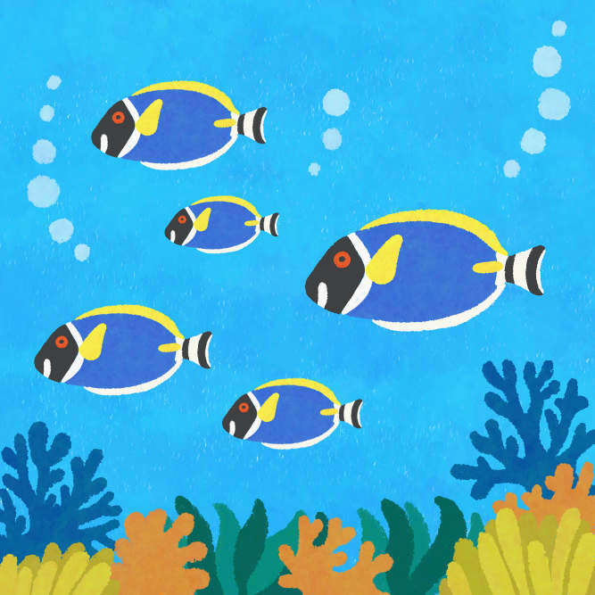 魚・動物 イラストレーター オオタユリ